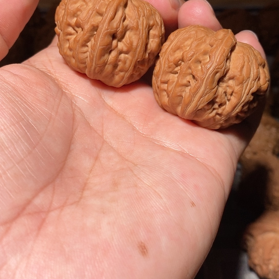 文玩核桃把件001元宝