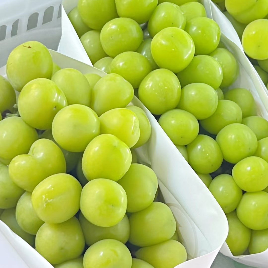 新鲜阳光玫瑰葡萄 果肉饱满（2-4斤）云南省