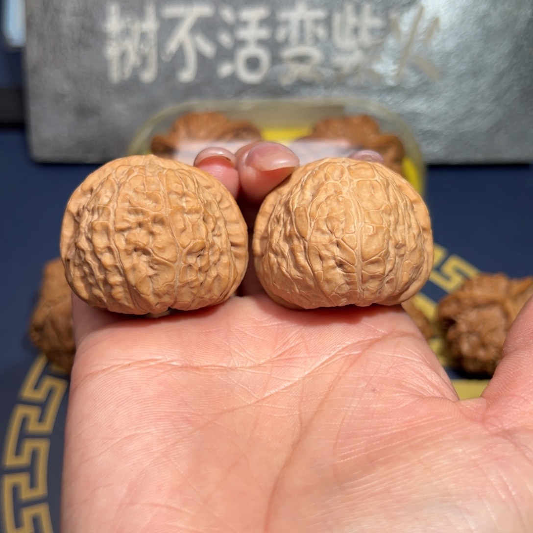 文玩核桃把件南瓜墩儿38全品