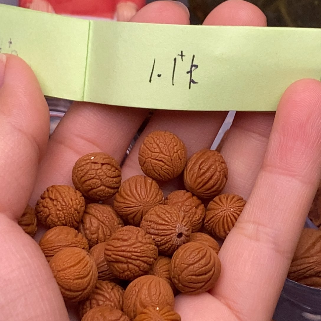 秦岭山脉龙纹桃核 21