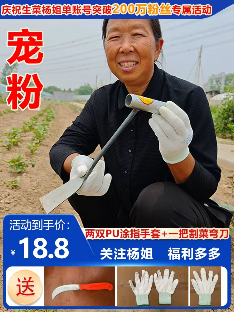 锻打连体6分铁铲子 挖菜铲 除草铲 园林园艺花铲 