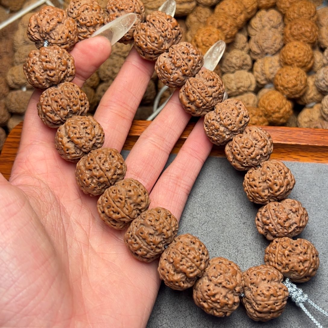 菩提23号尼泊尔大金刚22.5安娜梅花头货