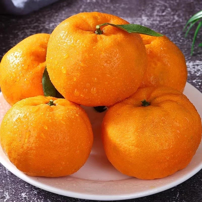 云南高原山货~沃柑~卤蛋甄选