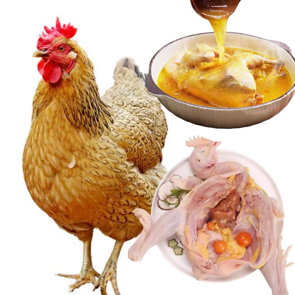 麻羽土鸡整只10只笨鸡肉质鲜美