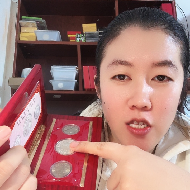 其他普通金属币中币，1银2币一套