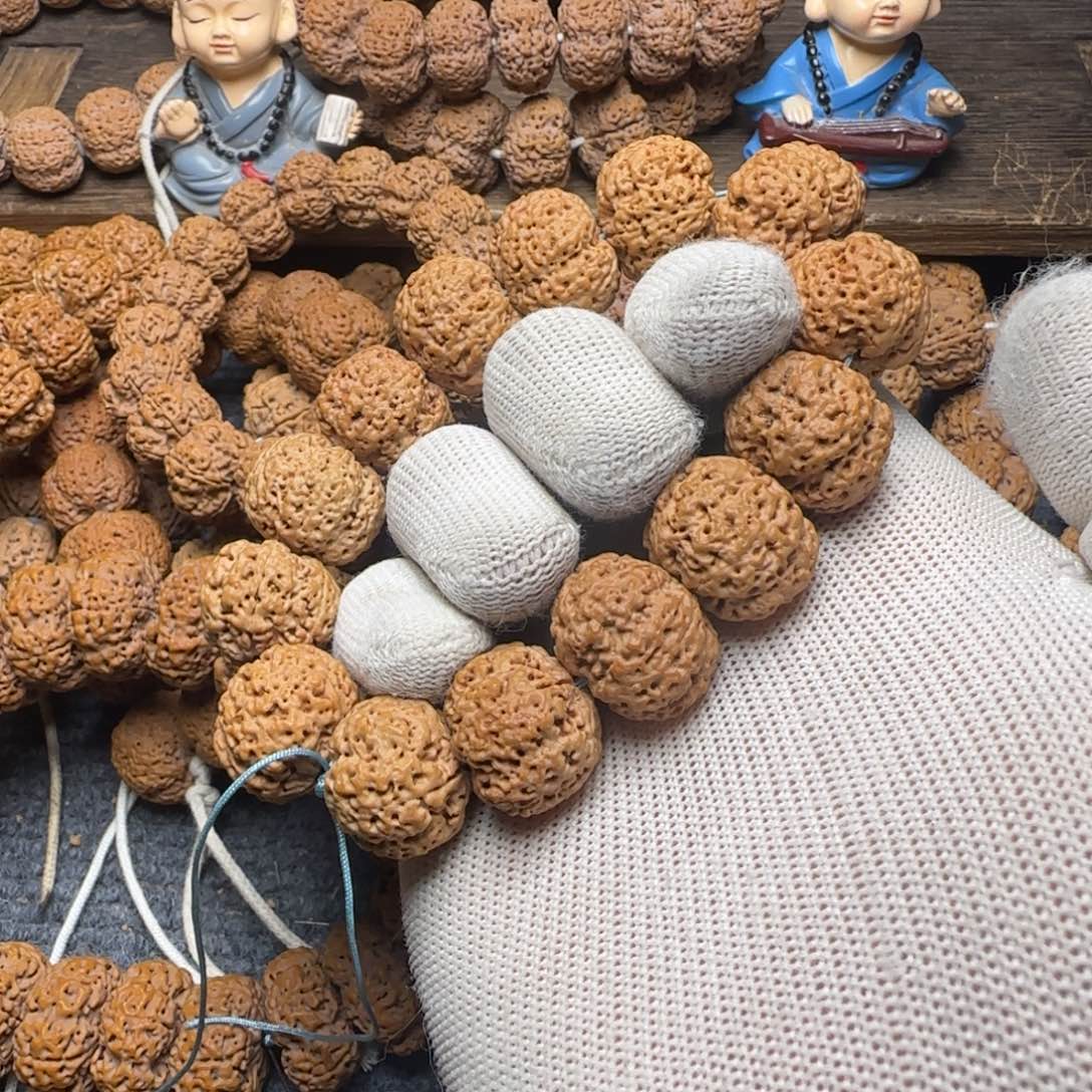 菩提金刚菩提22五星蜂王