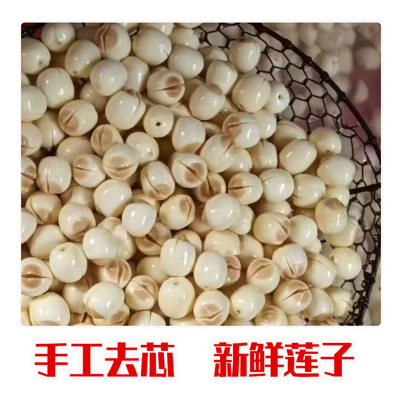 新鲜莲蓬现摘现发甜嫩莲子米生吃清香脆甜应季水果