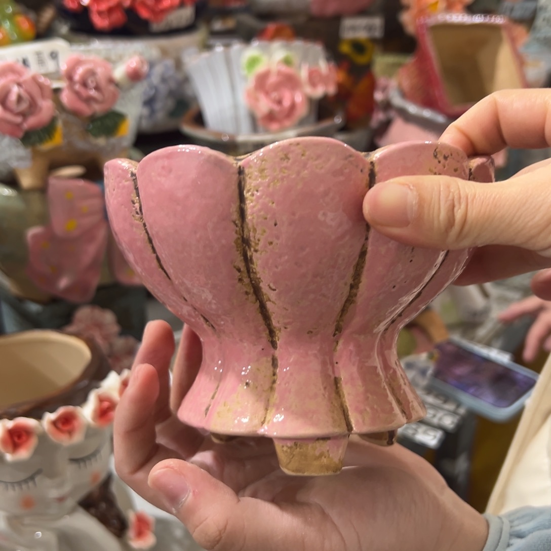 花盆，拍满20发货，退款拉黑