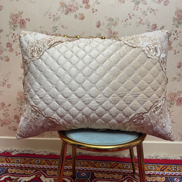 枕头套بىر جۇپ 靠腰枕办公室靠枕头套