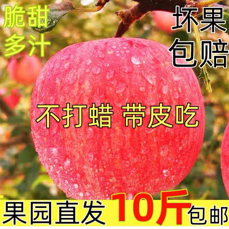产地直发新鲜红富士苹果脆甜多汁皮薄爽口当季水果