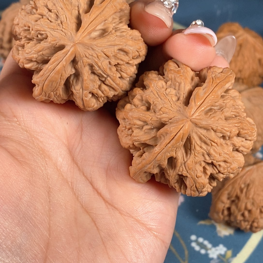 核桃天*文玩核桃大粗筋