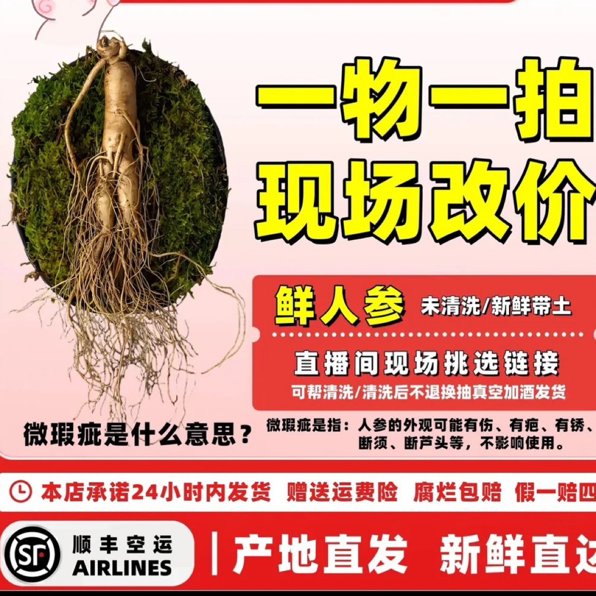 长白山鲜人参免费清洗改价链接 清洗过不退不换实物以直播间为准