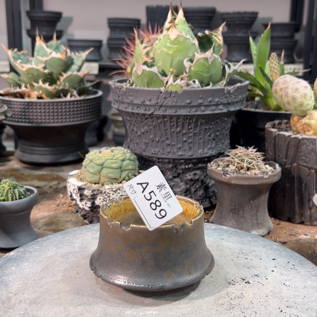 景德镇素里手工内口8高6