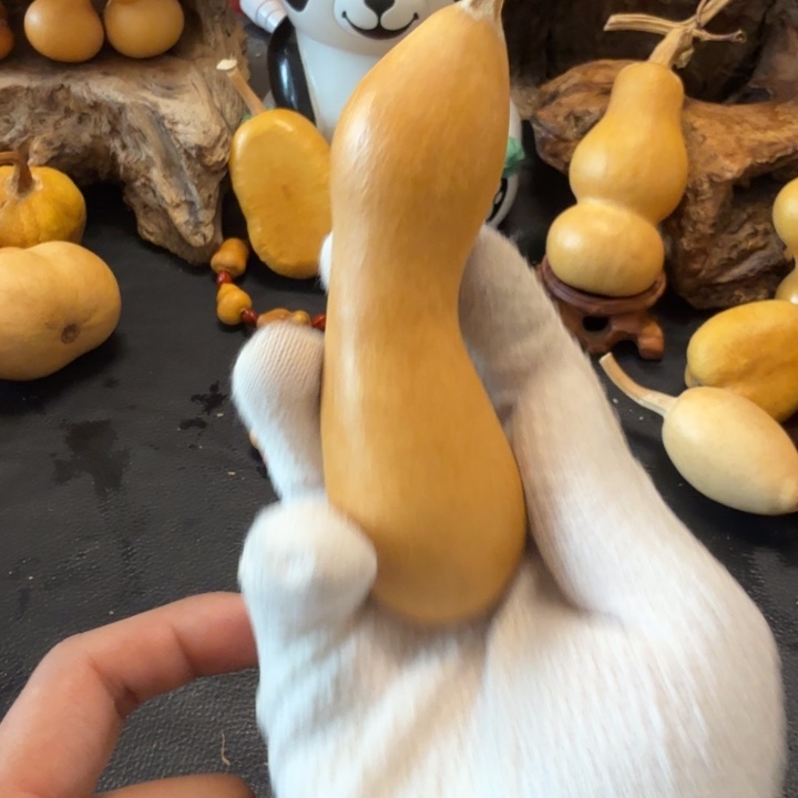 光***韵666…………………………………………