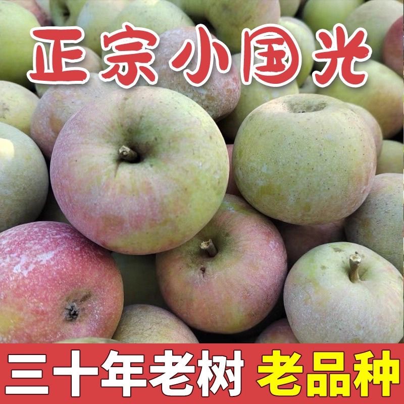 正宗东北老树国光笨苹果 当季水果不打蜡带皮吃孕妇酸甜口丑苹果