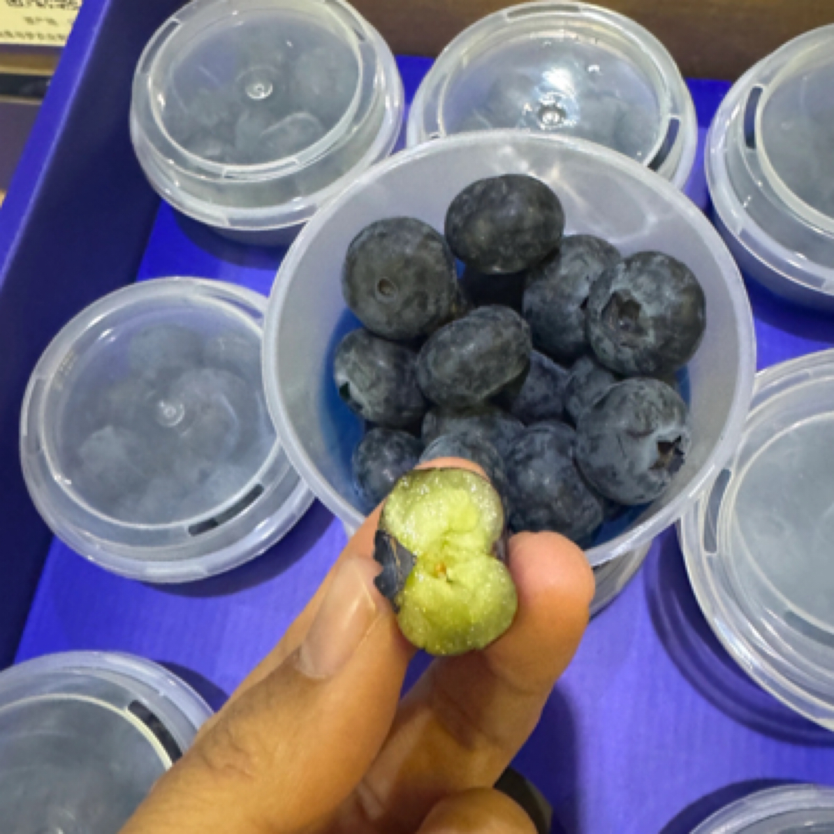 优莓杯云南蓝莓12杯22mm2斤