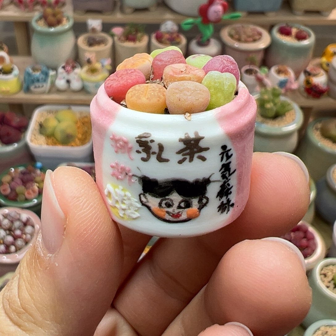 多肉植物22号拇指盆