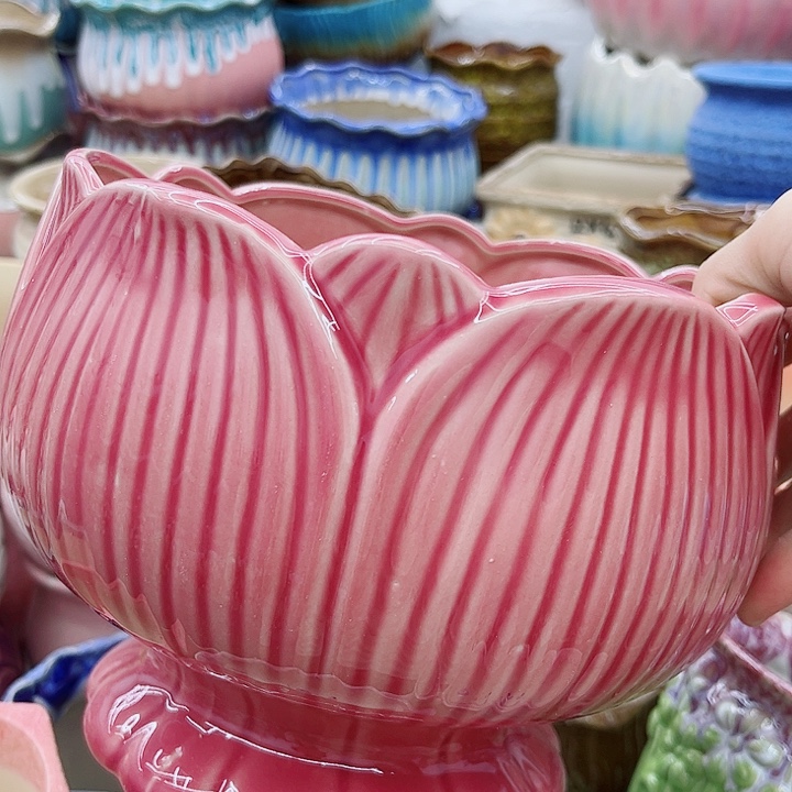 多肉绿植陶瓷花盆