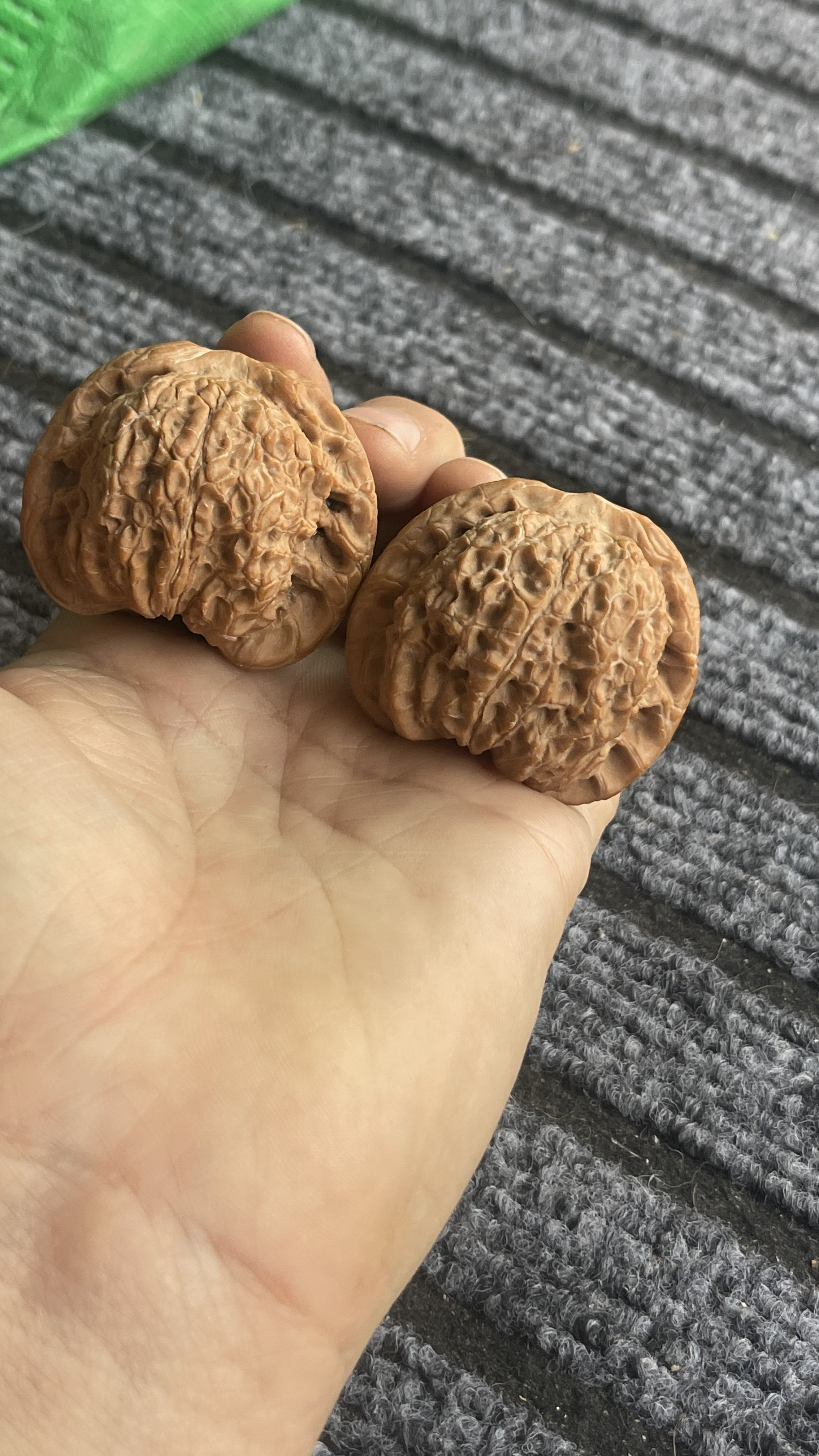 43的平谷血麒麟中端对