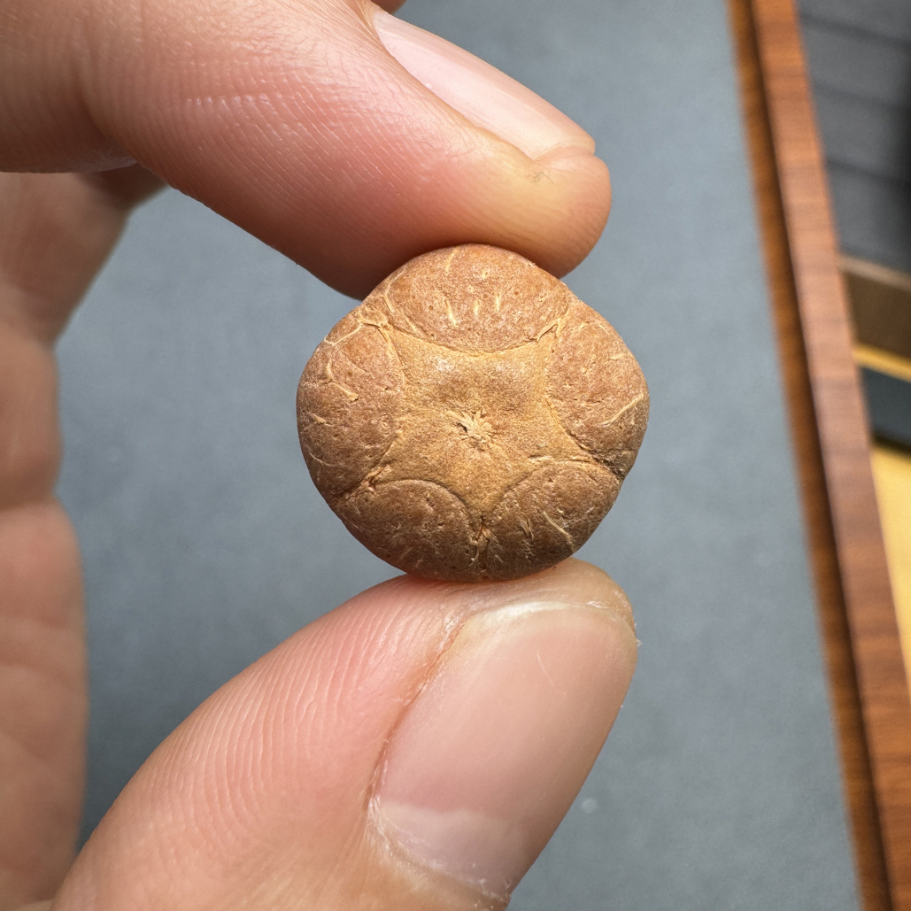 精品17+尼泊尔梅花五星上将菩提凤眼三通佛头，非质量问题开孔不退