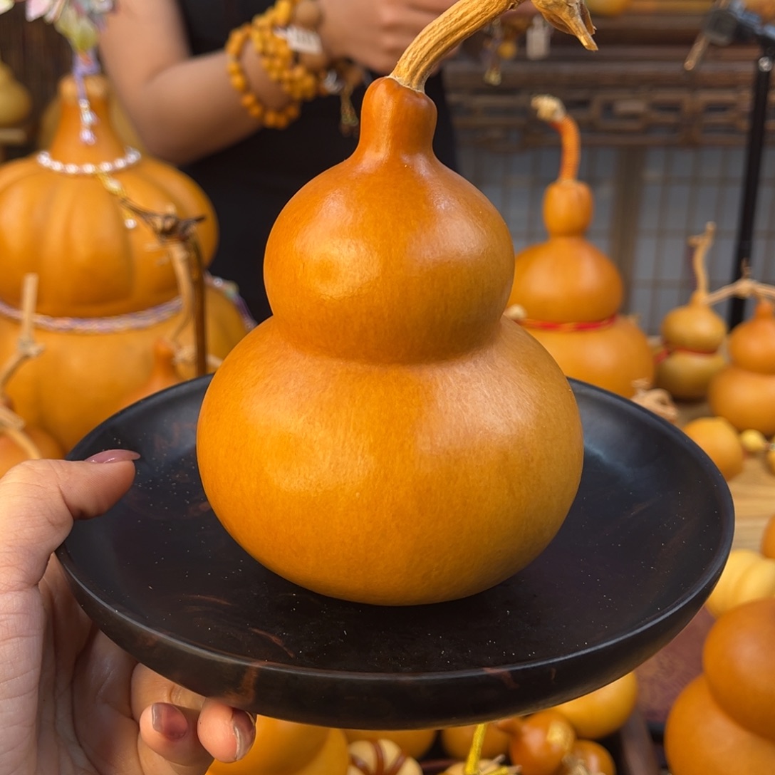 发发发发发发发发发发发发发发发发发