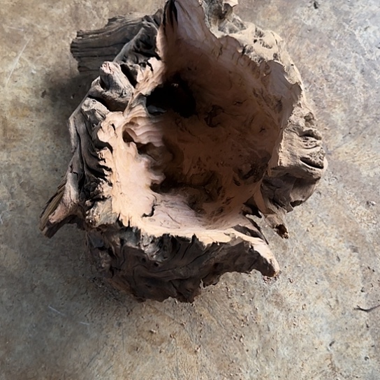 青***草紫砂噜啦啦啦啦啦啦