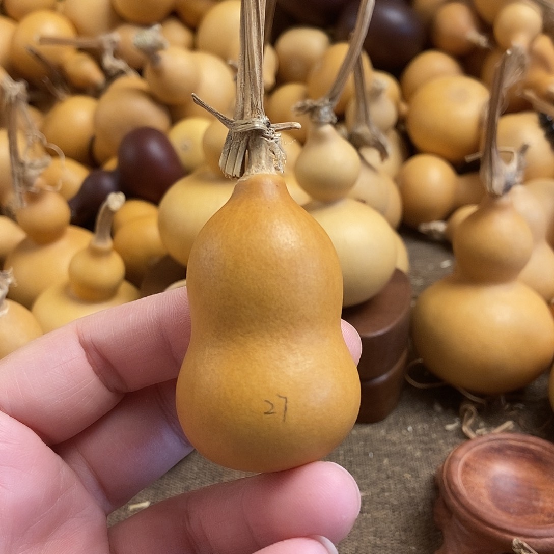 文玩葫芦 完美主义者 慎拍27
