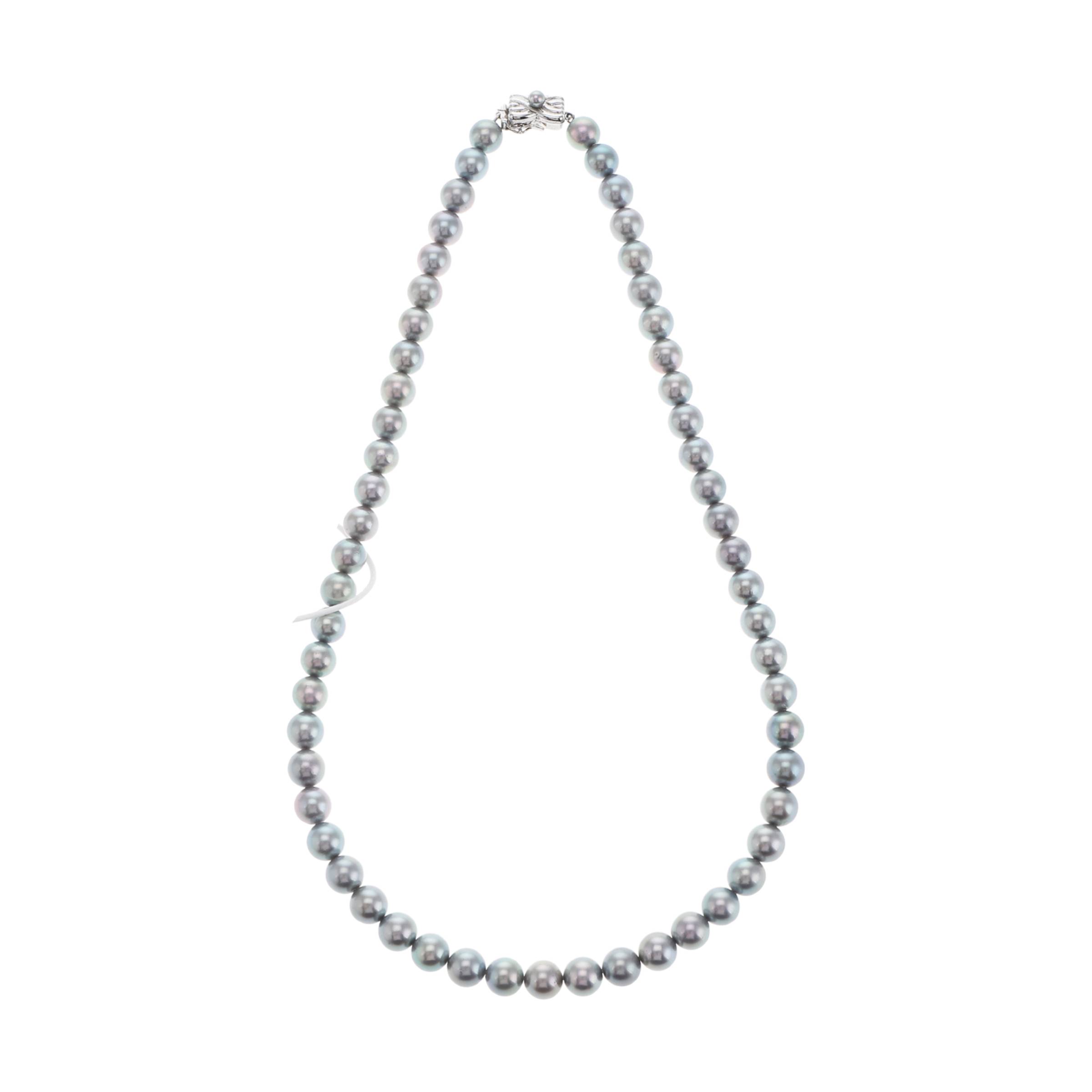 红布林/C1/塔思琦/26928475/z/122054