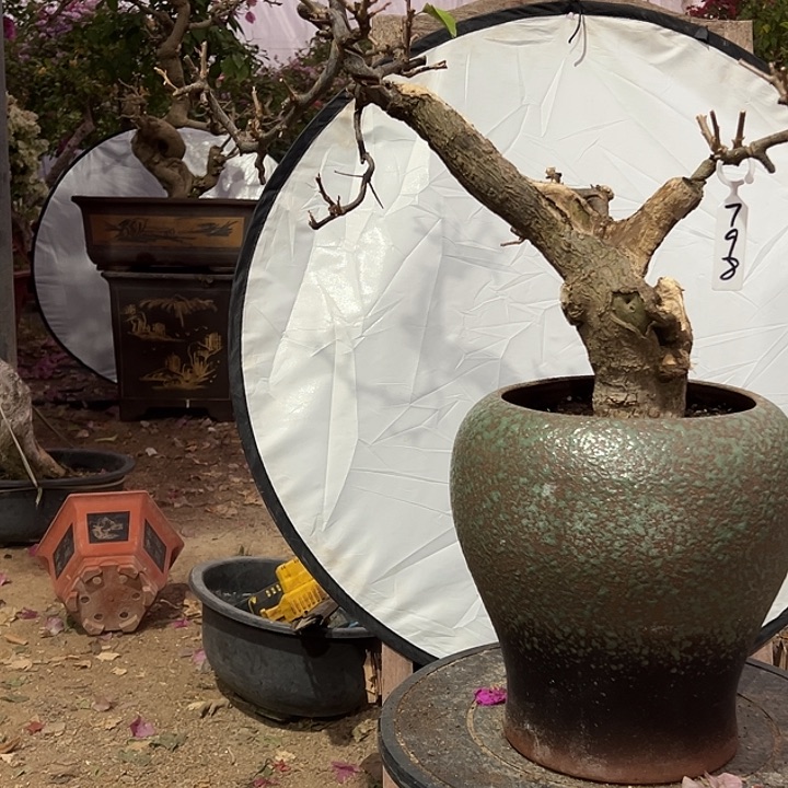 完全开放周*安水晶玻璃