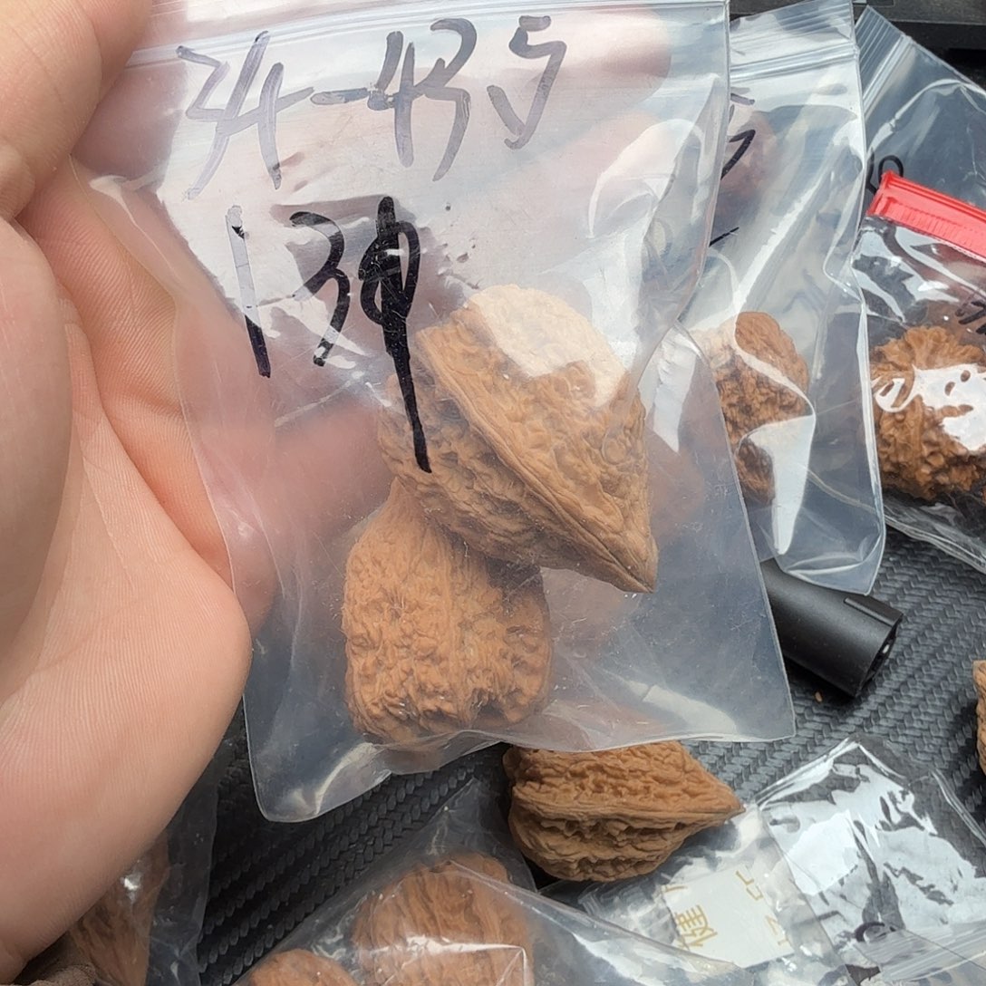 桃核吊坠福利塔尖核桃131