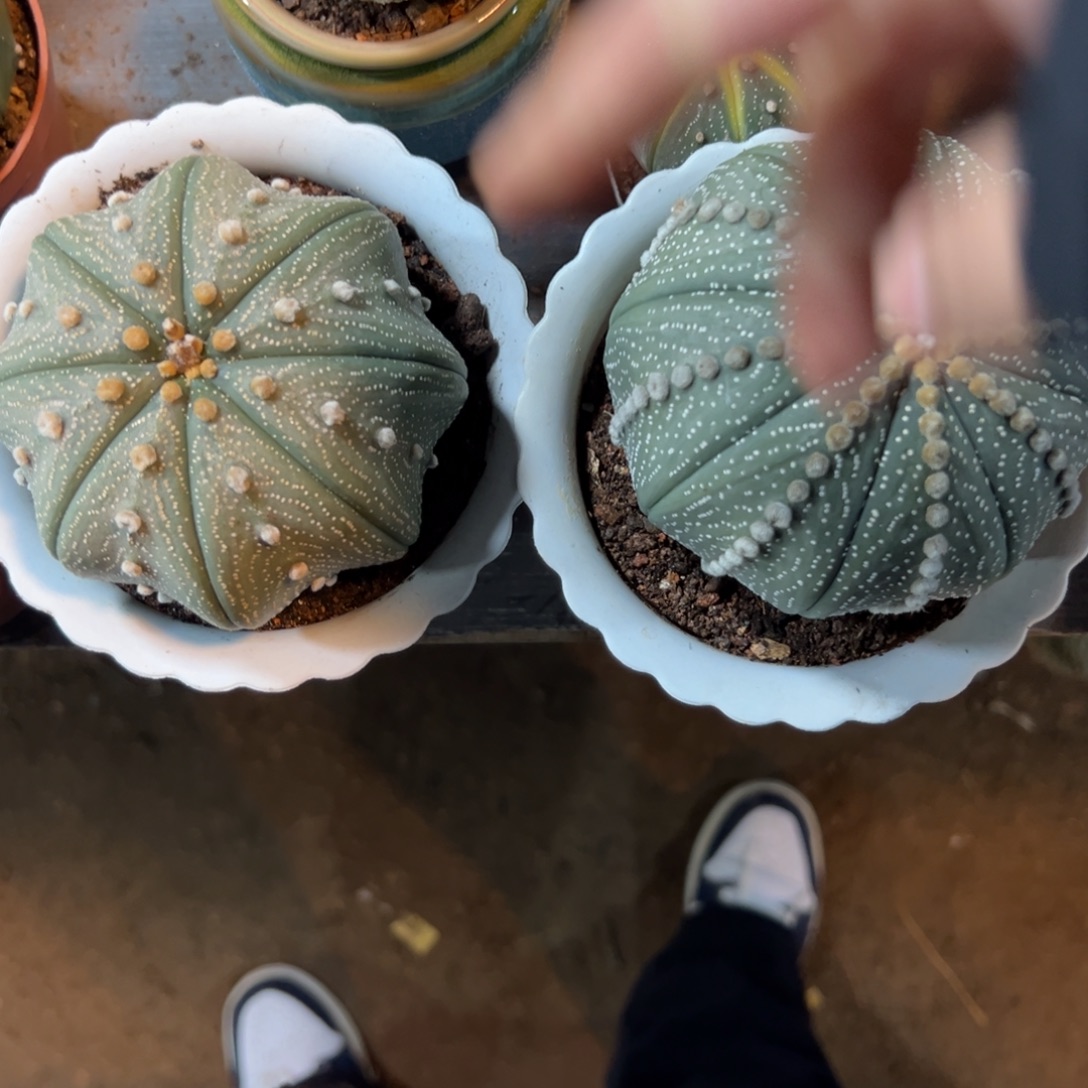 江****哈哈哈哈哈哈哈哈哈哈哈