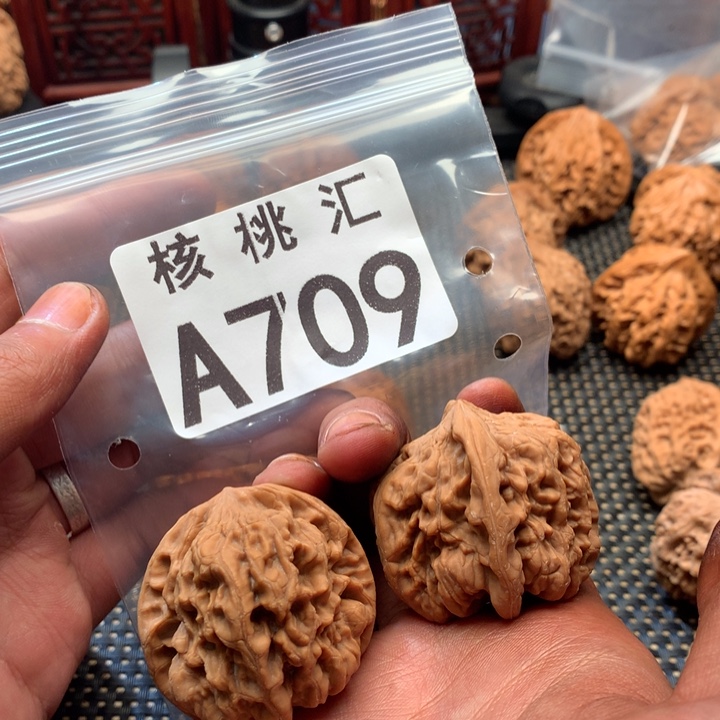 吊坠文玩核桃金蝉王