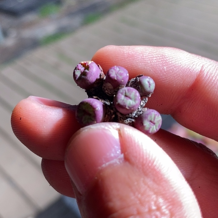 6133一个一个一个