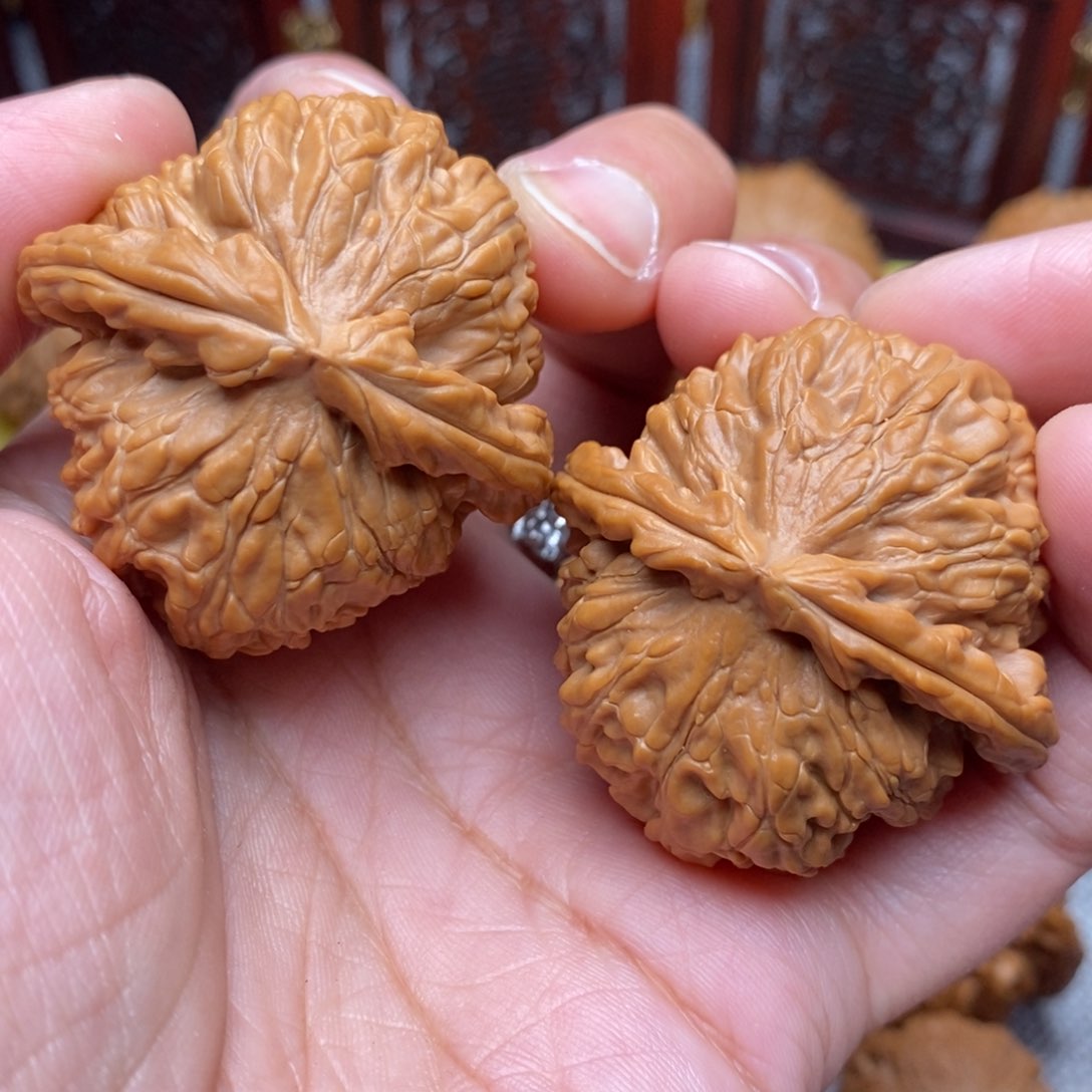 文玩核桃把件毕业肉球白狮子40尺