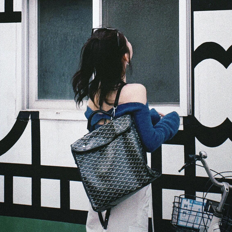 【大号双肩包]】新款牛皮明星同款ins旅行背包通勤摄影包A06