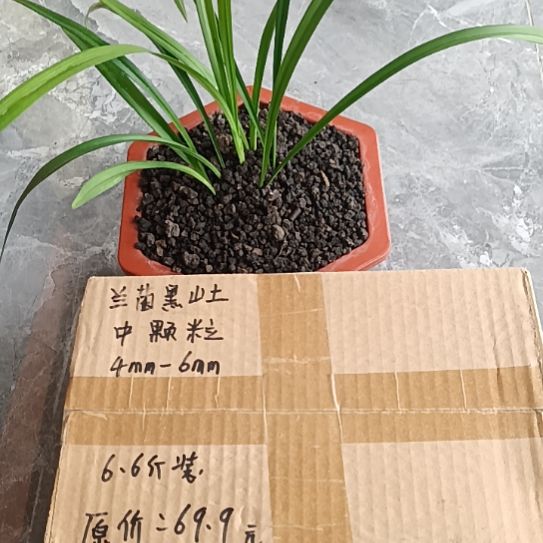 用***0兰菌黑山土中颗粒6.6斤