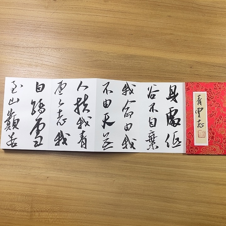 书法中书协会员作品