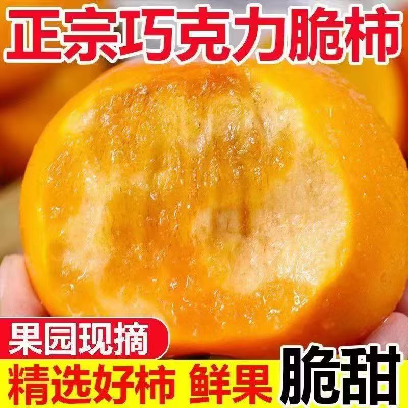 陕西脆甜新鲜应季阳丰巧克力脆柿子硬柿收到即食