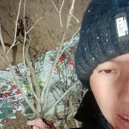 永***》完全开放文冠树30