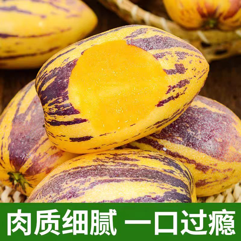 【热门推荐】甘肃民勤沙漠果现摘新鲜黄肉清甜多汁当季水果