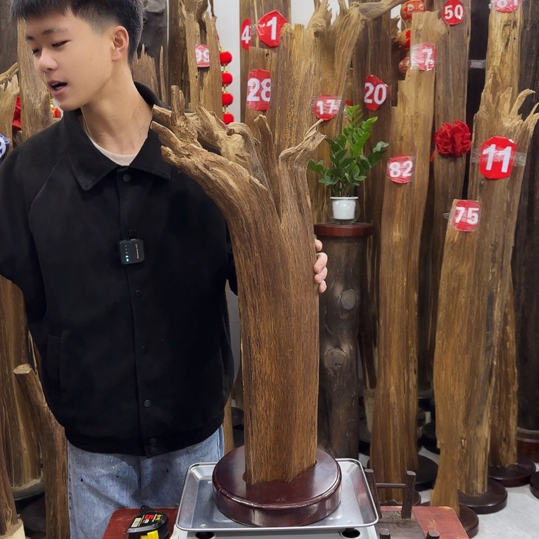 沉香摆件君**河沉香摆件