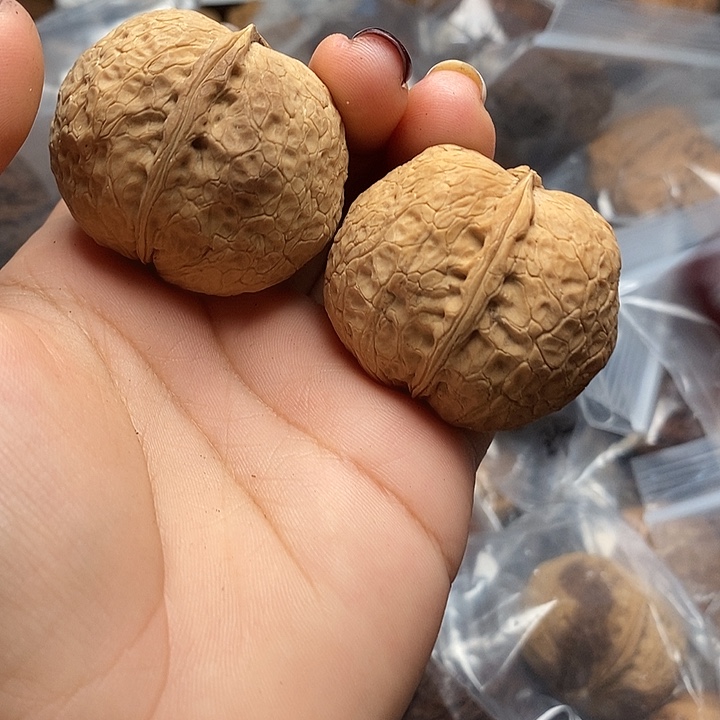 文玩核桃把件     7h