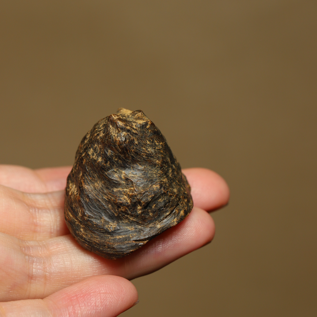 海南尖峰岭野生沉水天然瘤疤老料7.48克 香熏香料 