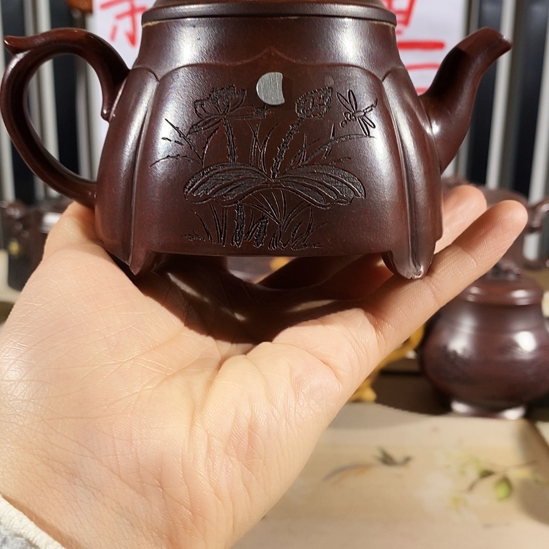 紫砂茶壶哈哈哈哈啊哈哈哈