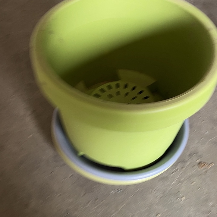 瑕疵球根圆盆2个加托