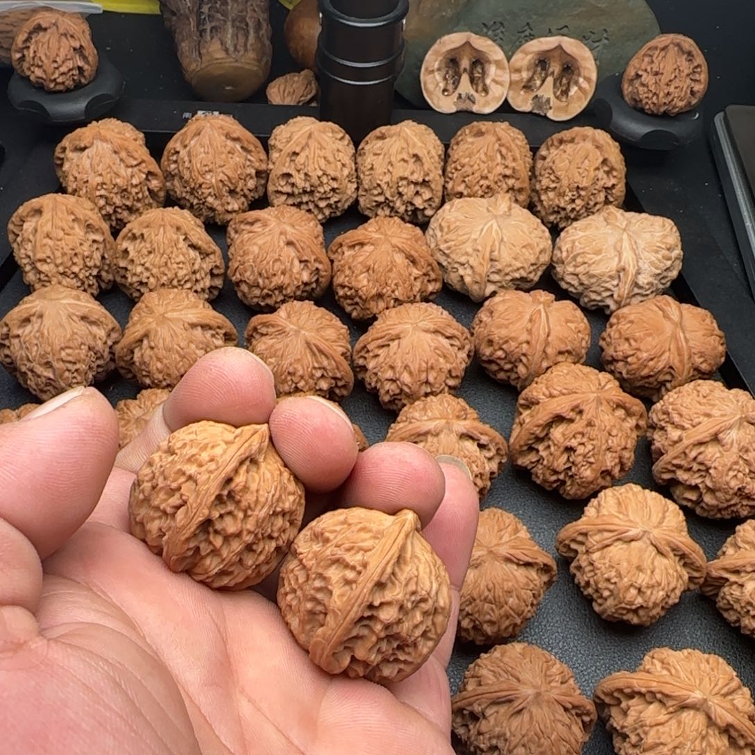 R***S32尺白狮子边有黄