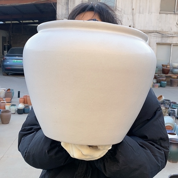 红陶31/31f g g h h j j k