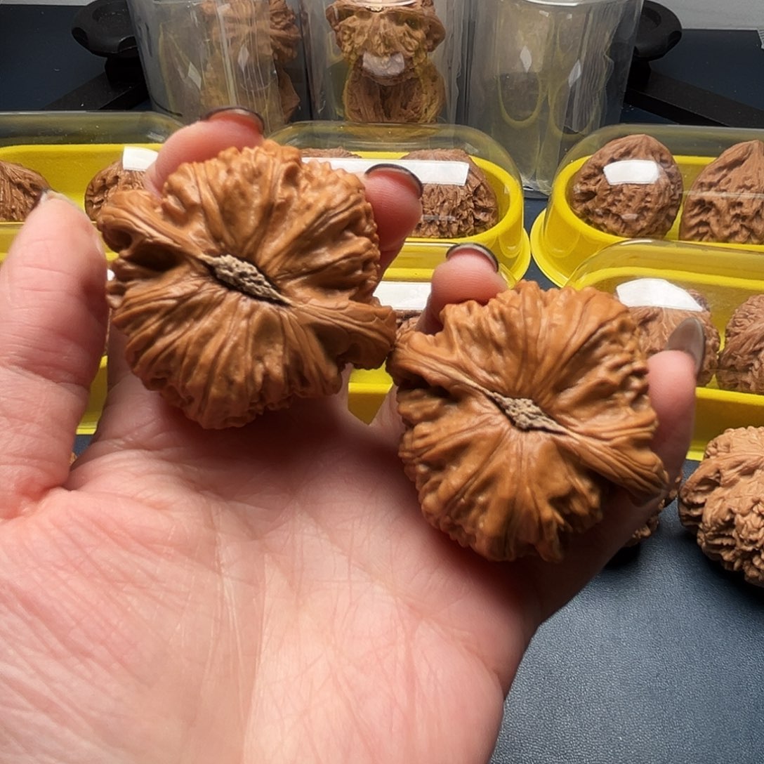 核桃46尺寸白狮子