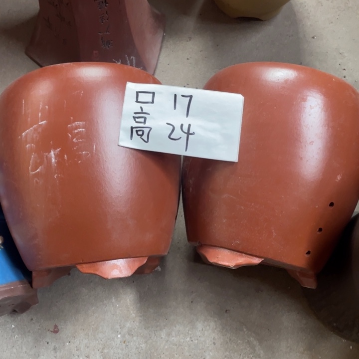 在的再说再说再说再说  