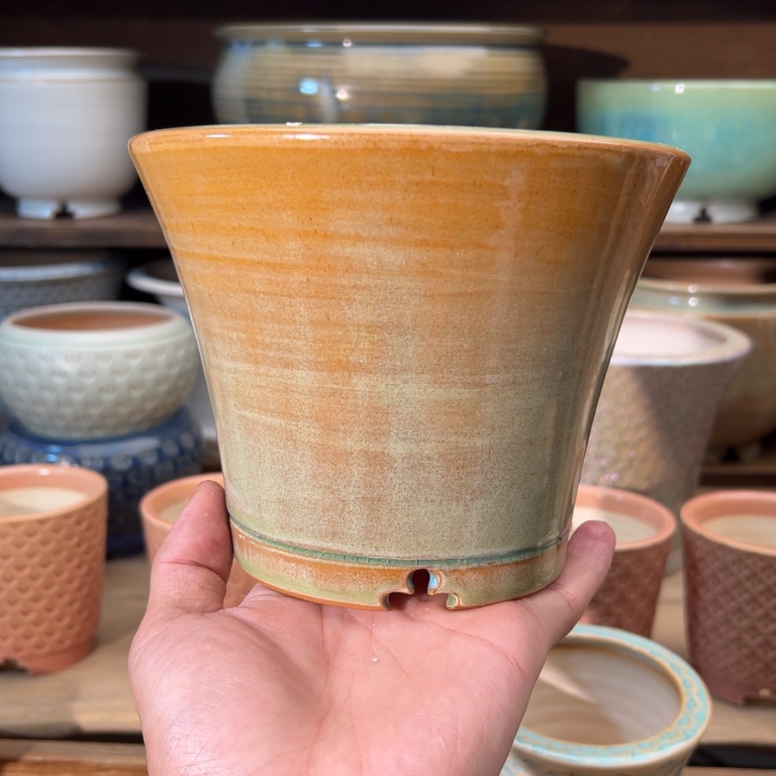 瓷片dy0208-004P福利特价